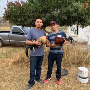 Meet your Posher, Ignacio